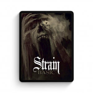 Strain Demo
